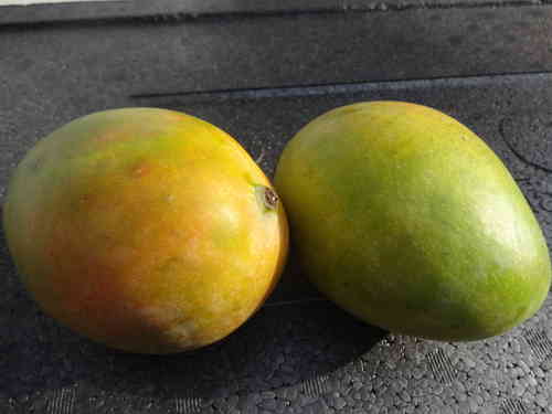 Mango Brasilien