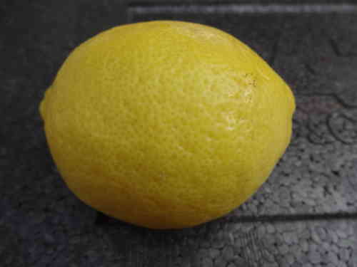 Zitrone Spanien