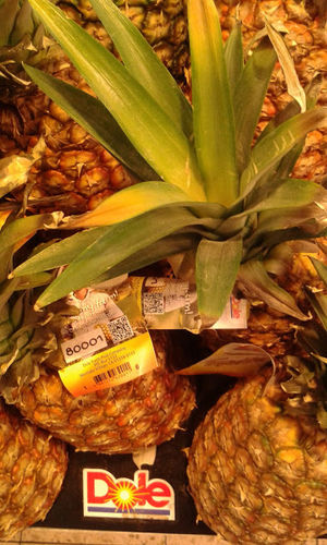 Ananas Herkunft Costa Rica Klasse 1